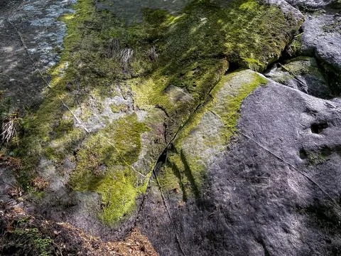Old mossy rock texture background Stock Photos
