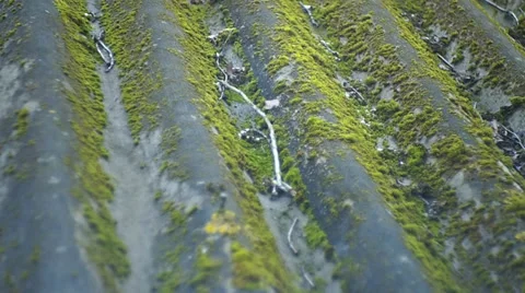 Old, mossy roofing slate Video stock 35422288
