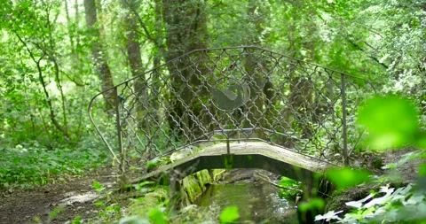 Old Mossy Stone Bridge in Green Forest, Foreground Bokeh Shot Vídeo Stock 340105637