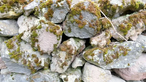 Old Mossy Stone Wall in a Rural Forest Setting Stock Footage 307635291