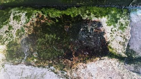 Old mossy walls (9) Stock Photos