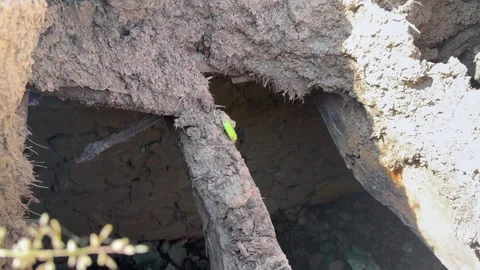 Old mud house Stock-Footage 320211893