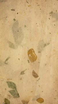 Old Mulberry Paper with leaf texture background 写真素材