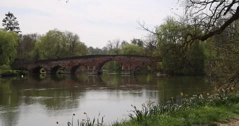 Old multi-arched brick bridge over a river, viewed from the bank Stock Footage 308418452