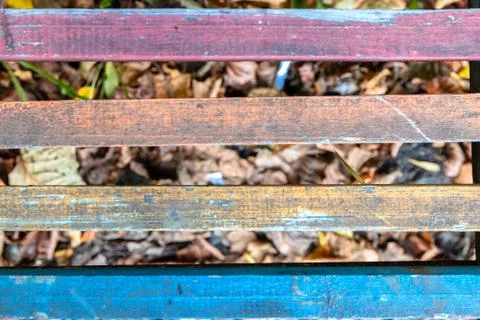 Old multi-colored boards and autumn yellow leaves background. abstract wood t Photos