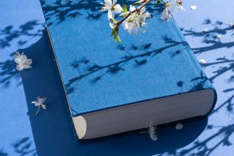 An old multi-page book in a blue fabric cover on a harmonious blue background Stock Photos