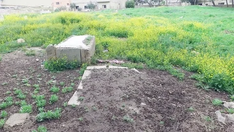 The Old Muslim Cemetery. Video stock 76246346