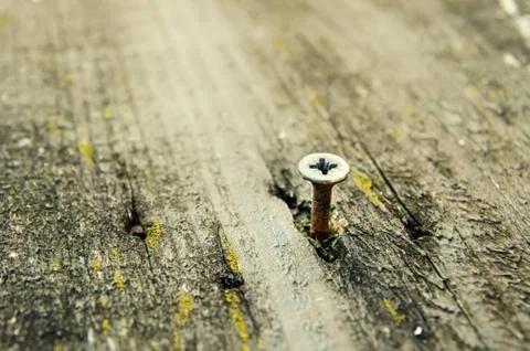 Old nail Stock Photos