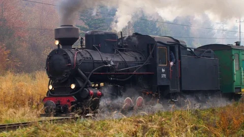 Old narrow-gauge train moving through the forest railway Stock Footage 124075855
