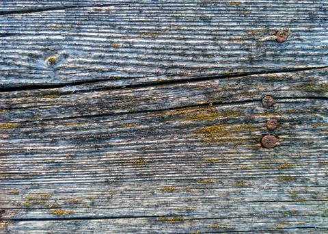 Old natural pattern wood surface with moss and rusty metal nails Stock Photos