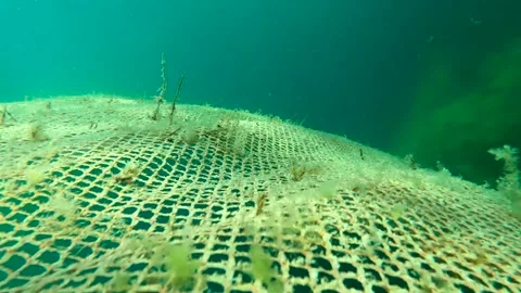 Old net underwater Stock Footage 152954383
