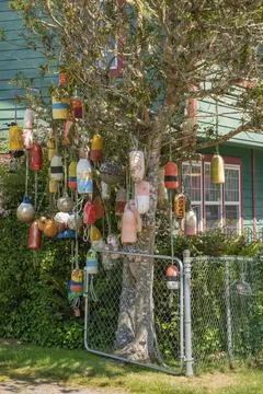 Old netting floats decorating a tree near Long beach Washington. Stock Photos