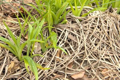 Old with the New Stock Photos