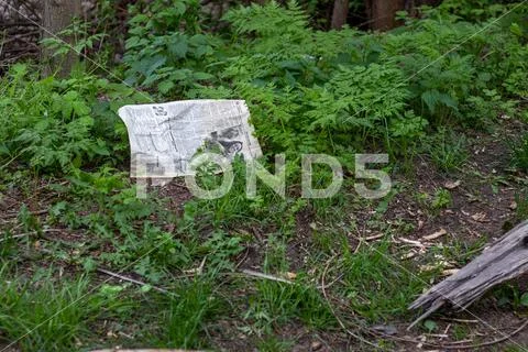 An old newspaper thrown in the middle of the woods Stock Photos