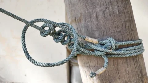 Old nylon rope tie things to tree trunks. Stock Footage 265045316