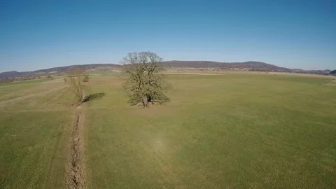 Old oak and landscape in Hesse Stock Footage 103717992