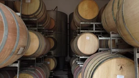 Old oak barrel , inside the vineyard. mendoza, Argentine Stock Footage 148697379
