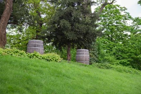 Old oak barrel Stock Photos
