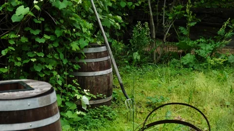 Old oak barrels or casks used for landscaping in a backyard zoom Video stock 150477014