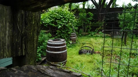 Old oak barrels or casks in an overgrown backyard Video stock 150477016