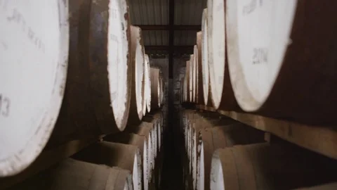 Old oak barrels in a row at the cellars of the winery Stock Footage 81540133
