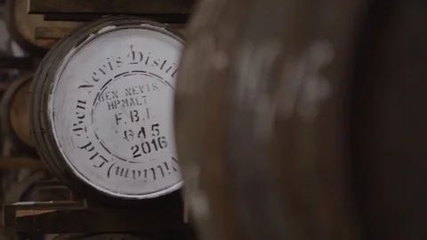 Old oak barrels in a row at the cellars of the winery Stock Footage 81540240