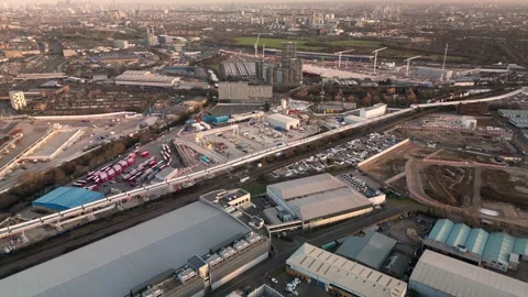 Old Oak Stock Footage 261239492