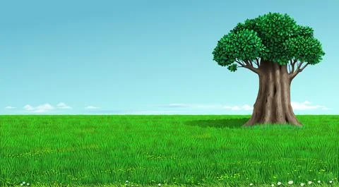 Old oak tree on a green field landscape Stock Illustration