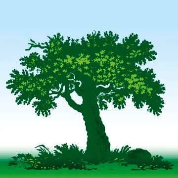 Old oak tree icon in green tones. Isolated. Stock Illustration