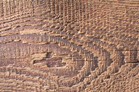 Old oiled board close up Stock Photos