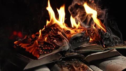 Old Open Books Burning. Big Bright Flame On Papers. Destruction Of Diary Stock Footage 283862029
