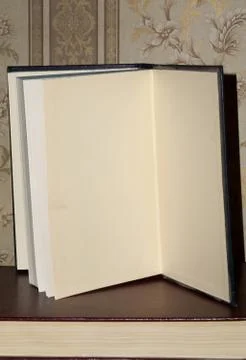 Old Opened Book イラスト素材
