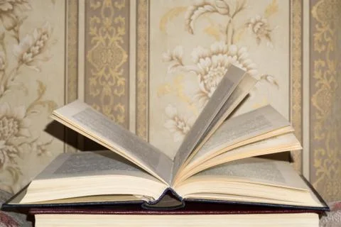 Old Opened Book Stockillustratie
