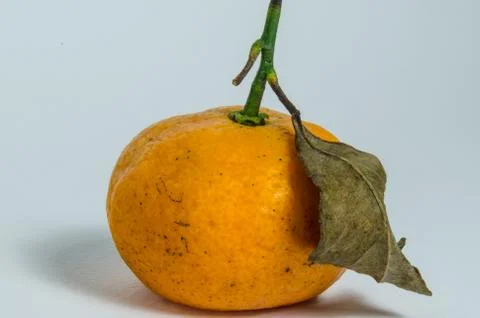 Old orange Stock Photos