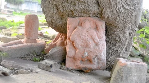 Old orange statue with trunk Stock Footage 102783198