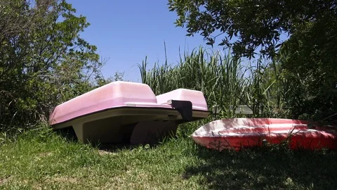 Old paddle boats in the marsh Stock Footage 90564870