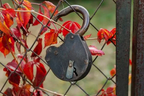 Old padlock on a rusty wire mesh gate Stock Photos