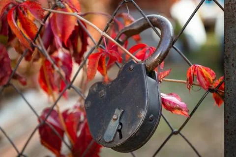 Old padlock on a rusty wire mesh gate Stock Photos