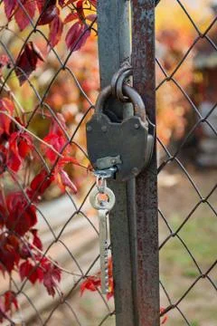 Old padlock on a rusty wire mesh gate Stock Photos