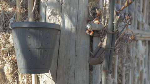 Old pail Stock Footage 62451183