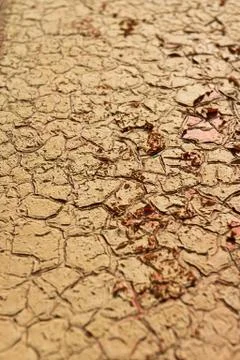 Old Paint Colored Background, Aged Colors Cracks Texture, Weathered Paint Stock Photos