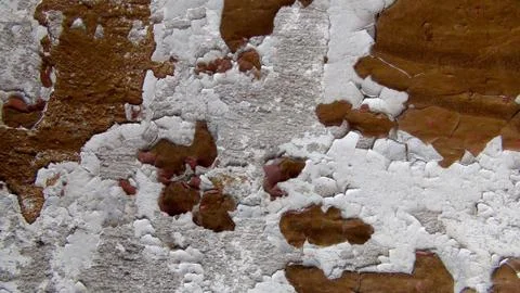 Old paint on a concrete wall that has cracked cubes and falls off Stock Photos