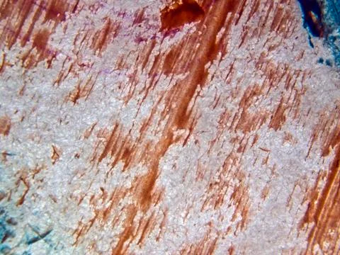 Old paint Stock Photos