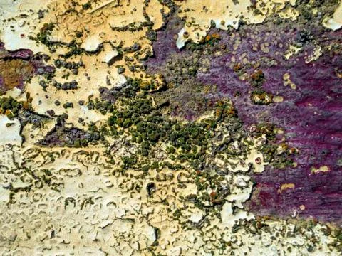 Old paint Stock Photos