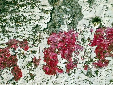 Old paint Stock Photos