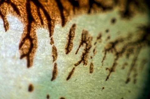 Old paint Stock Photos