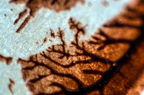 Old paint Stock Photos