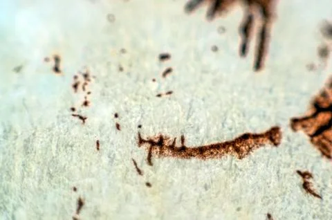 Old paint Stock Photos