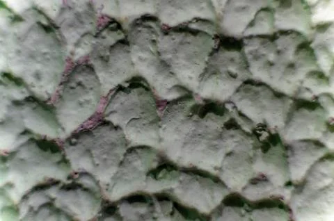 Old paint Foto stock