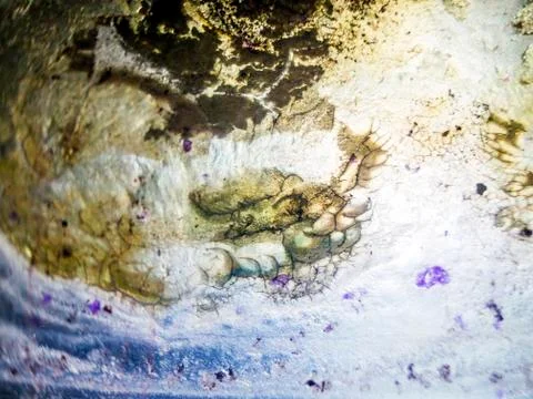 Old paint Stock Photos